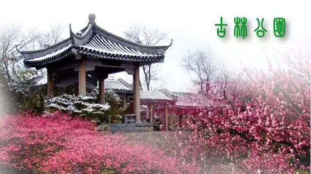 <b>【南京三門灣電器】周日4.24古林公園賞牡丹花、</b>